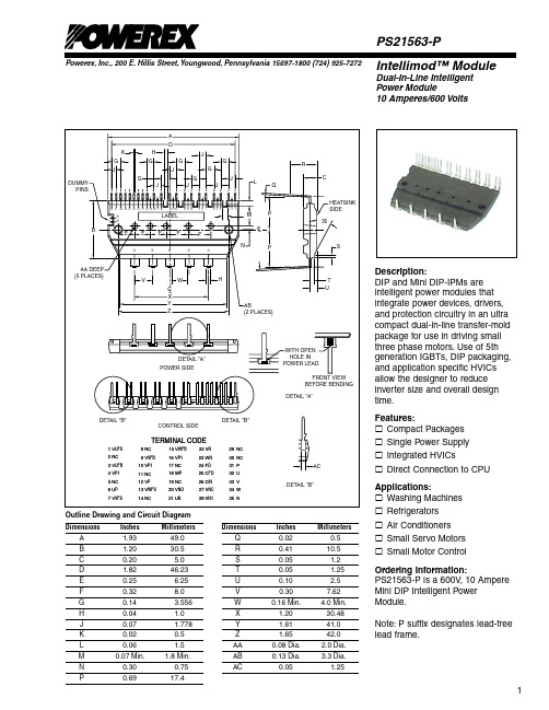 PS21563-PP中文资料