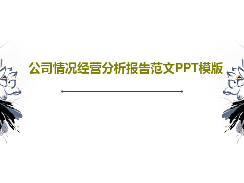 公司情况经营分析报告范文PPT模版PPT文档49页