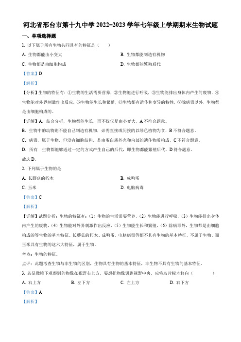 邢台市第十九中学2022-2023学年七年级上学期期末生物试题【带答案】