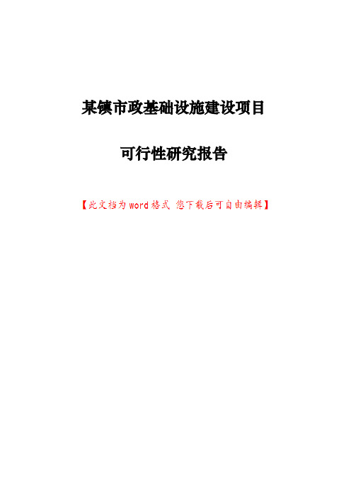 某镇市政基础设施建设项目可行性研究报告