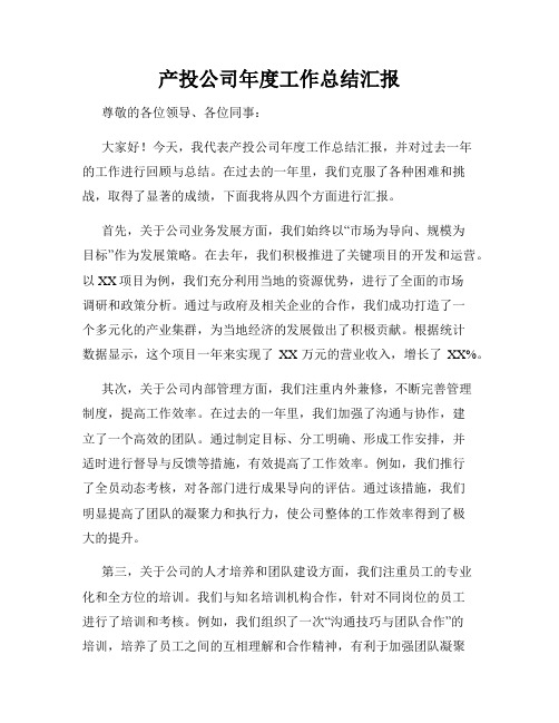 产投公司年度工作总结汇报