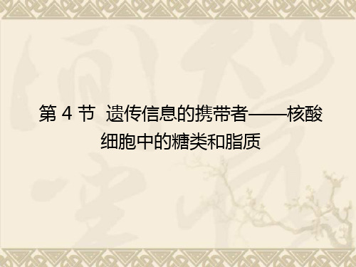 【导学教程】(新课标)高考生物一轮复习(抓纲扣本+剖题探法)第一单元 第4节 遗传信息的携带者