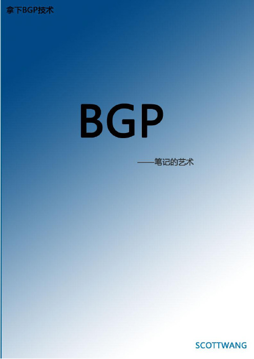 拿下BGP技术