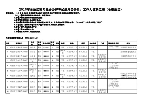 2013年新疆维吾尔自治区面向社会公开考试录用公务员工作人员职位表(公布版)3