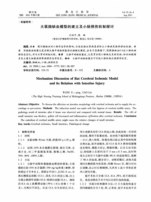 大鼠脑缺血模型的建立及小肠损伤机制探讨