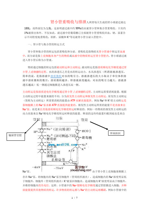 肾小管和集合管的重吸收