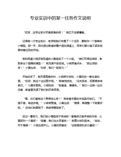 专业实训中的某一任务作文说明