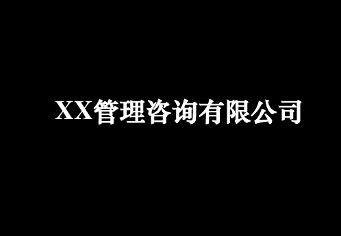 XX集团战略-集团管控项目建议书