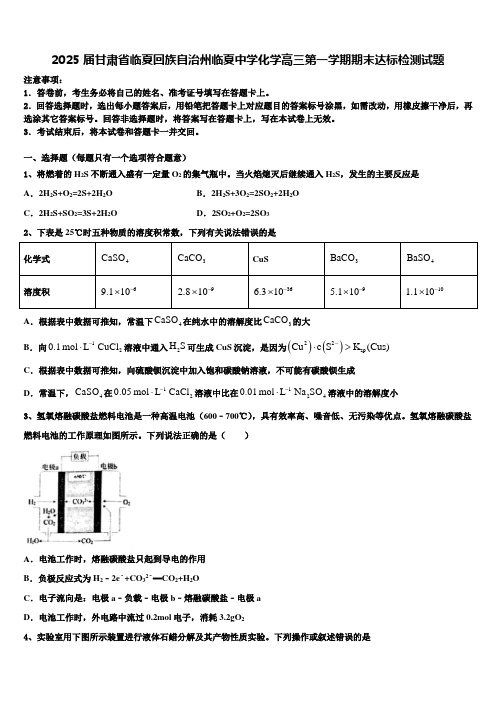 2025届甘肃省临夏回族自治州临夏中学化学高三第一学期期末达标检测试题含解析