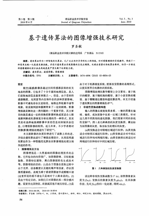 基于遗传算法的图像增强技术研究
