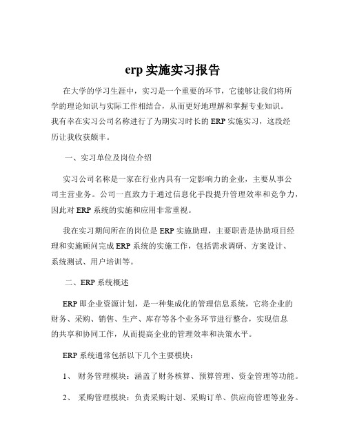 erp实施实习报告