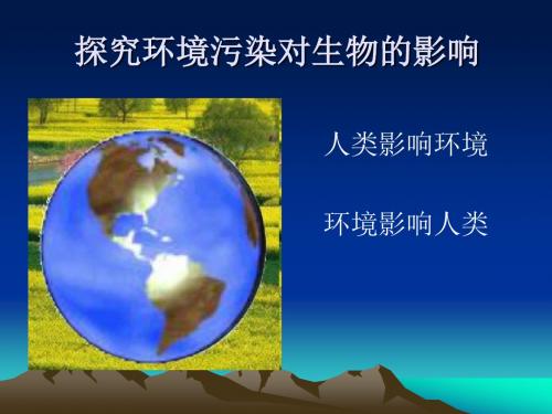 人教版七年级生物下册第七章第二节 探究环境污染对生物的影响 (共31张PPT)