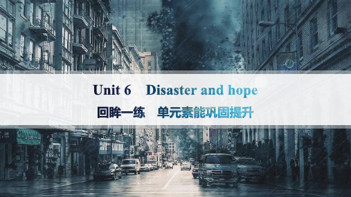 外研版高中英语学案必修第三册 Unit 6 Disaster and hope 单元素能巩固提升