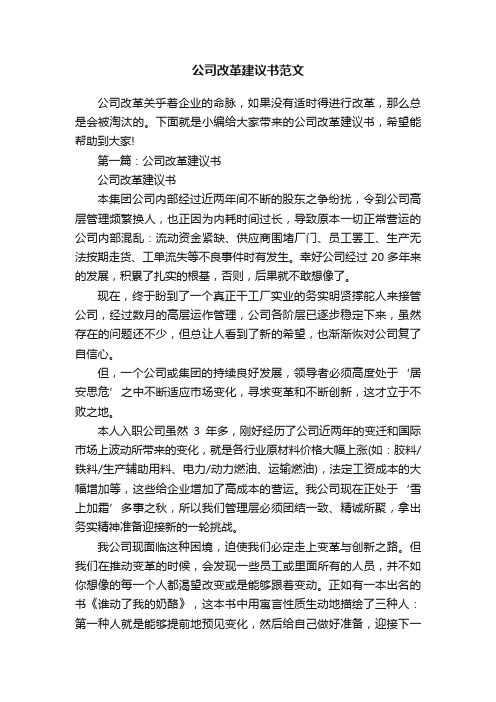 公司改革建议书范文