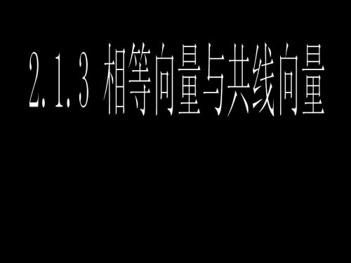 08.03.24高一数学《2.1.3相等向量与共线向量》