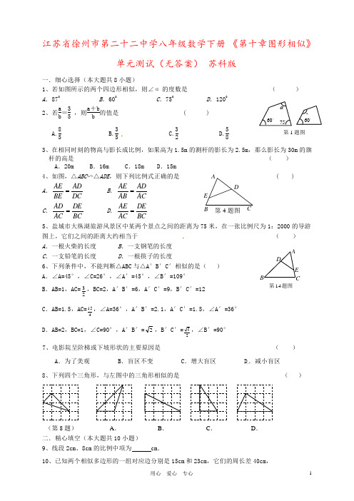 江苏省徐州市第二十二中学八年级数学下册 《第十章图形相似》单元测试(无答案) 苏科版