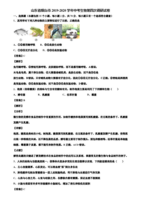 山东省烟台市2019-2020学年中考生物第四次调研试卷含解析