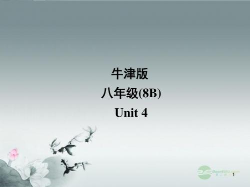 宜兴市屺亭中学八年级英语下册《Unit 4 A charity showl》Integrated skills课件