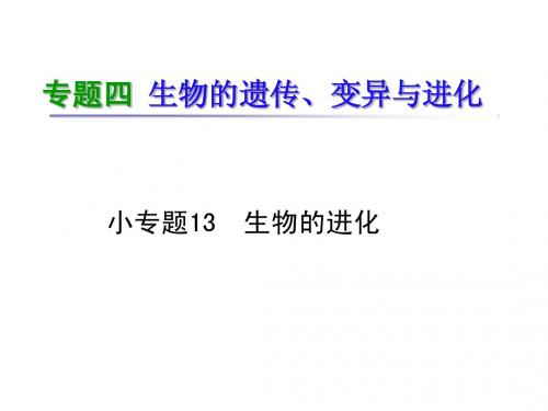 高考新课标生物二轮总复习课件：专题4 生物的遗传、变异与进化13 生物的进化
