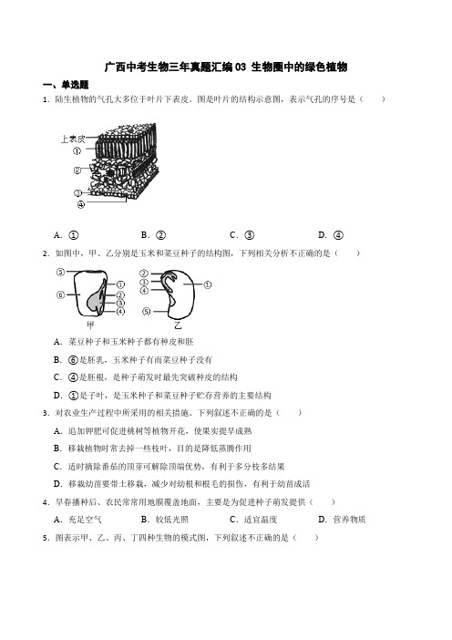 广西中考生物三年真题汇编 生物圈中的绿色植物解析版