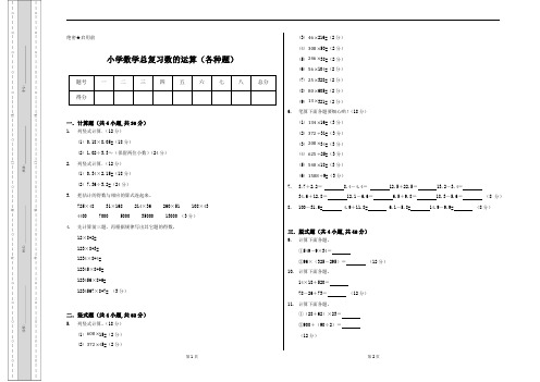小学数学总复习数的运算(各种题)