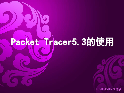 Packer Tracer5.3的使用