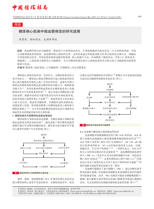 糖尿病心肌病中微血管病变的研究进展