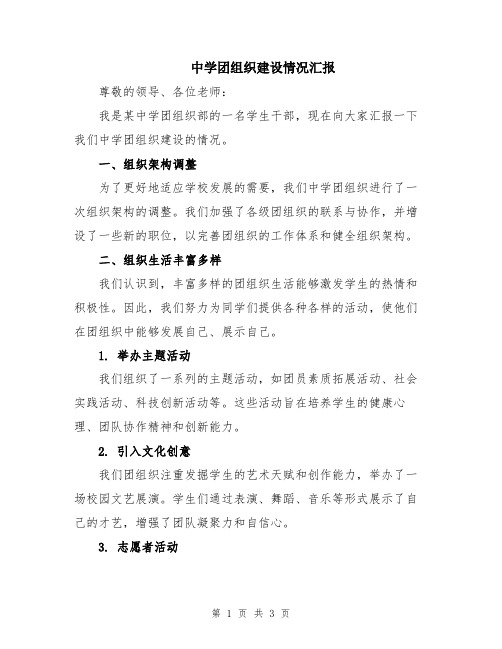 中学团组织建设情况汇报