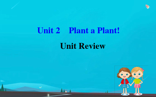 八年级英语下册Unit2PlantaPlantUnitReview课件