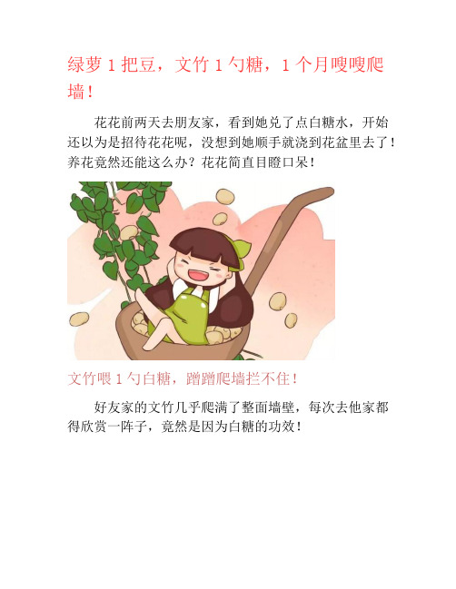 绿萝1把豆,文竹1勺糖,1个月嗖嗖爬墙!