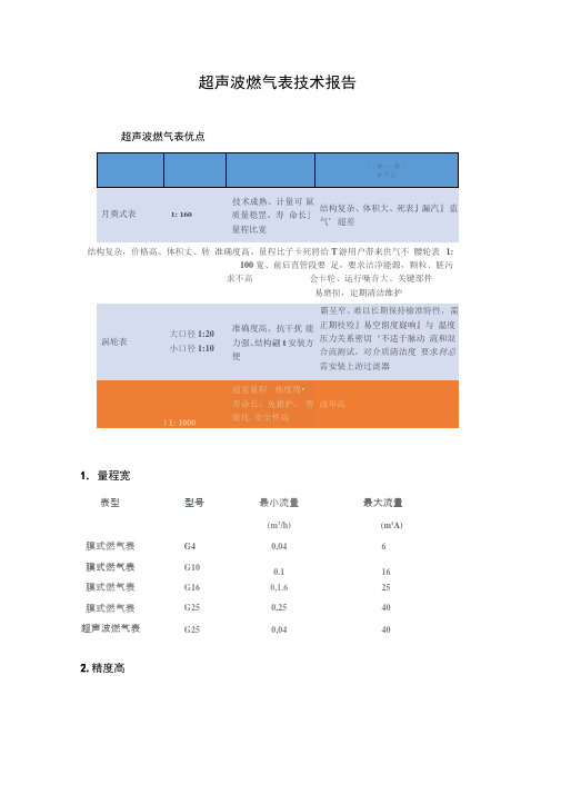 燃气表报告剖析