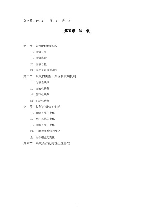 第五章 缺氧-李树清