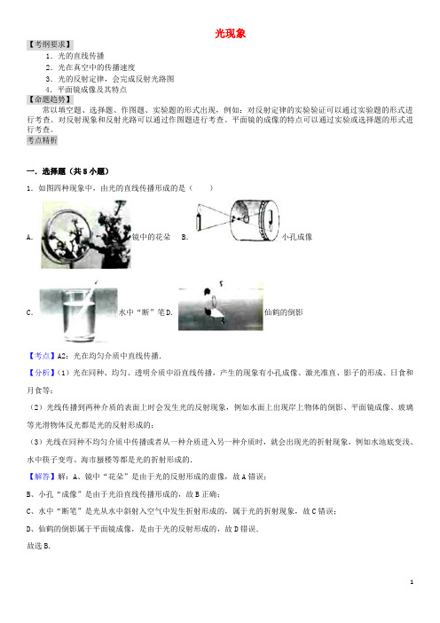 中考物理 专题讲解 第四讲 光现象(含解析)