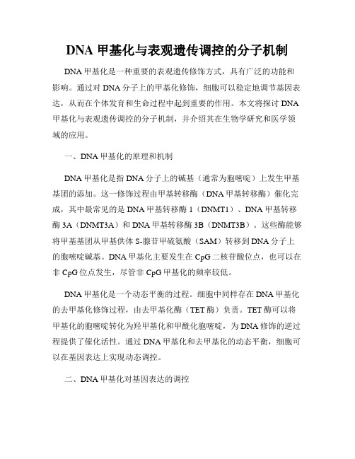 DNA甲基化与表观遗传调控的分子机制