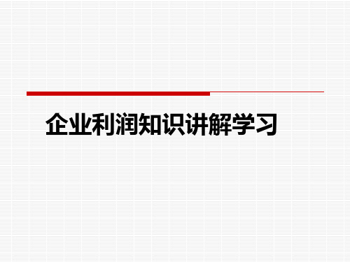 企业利润知识讲解学习PPT课件