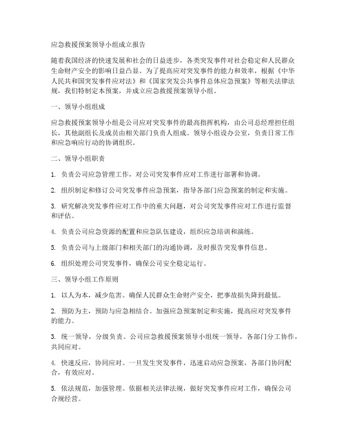 成立应急救援预案领导小组