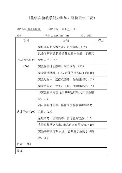 评价表化学实验教学能力训练