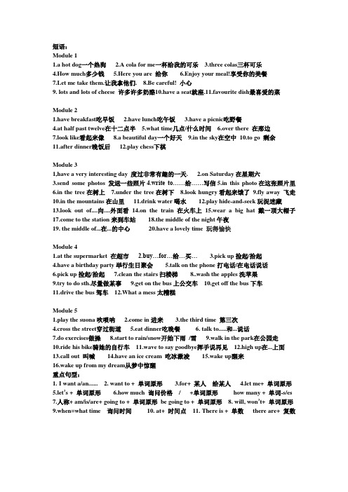 外研版英语六年级下册重点短语1-5