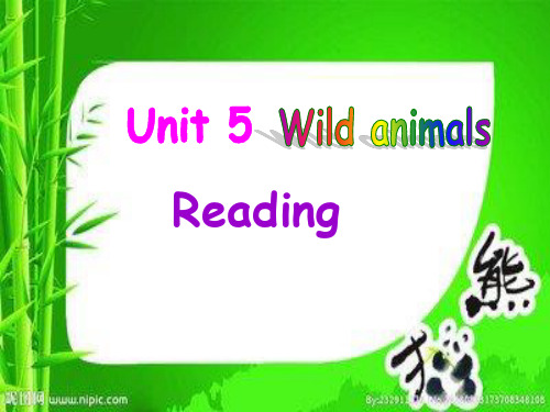 牛津译林版英语八年级上册课件:Unit5Reading 1