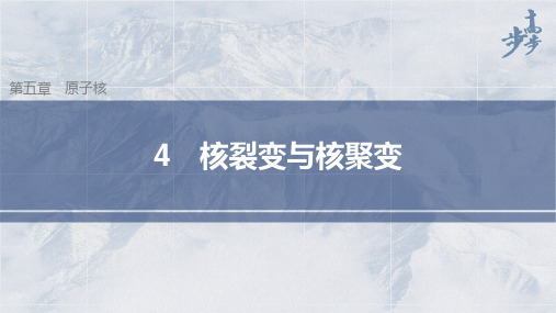 高中物理新教材同步选择性必修第三册 第5章 原子与原子核4 核裂变与核聚变