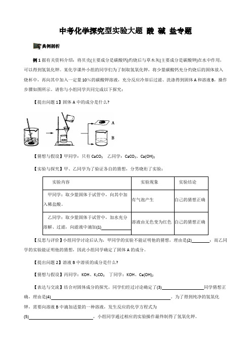 中考化学探究型实验大题 酸 碱 盐专题