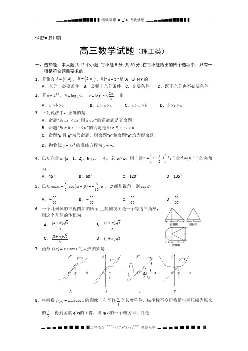 山东省菏泽一中2013届高三上学期期末考试数学(理)试题