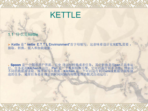 KETTLE使用说明(中文版)