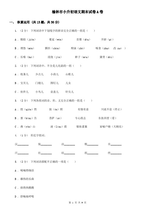 榆林市小升初语文期末试卷A卷