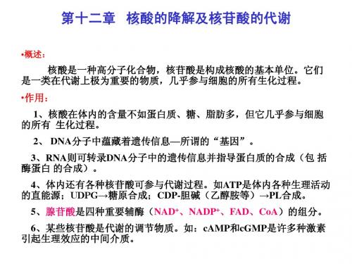 第十二章 核酸的降解及核苷酸的代谢 概述：核酸是一种高分...