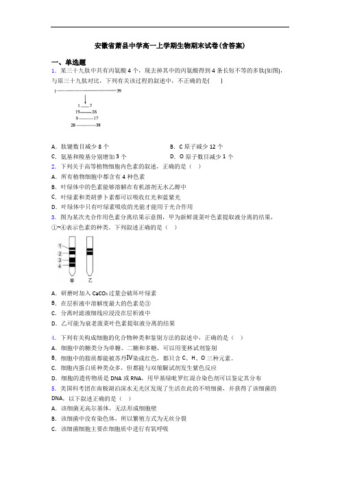 安徽省萧县中学高一上学期生物期末试卷(含答案)