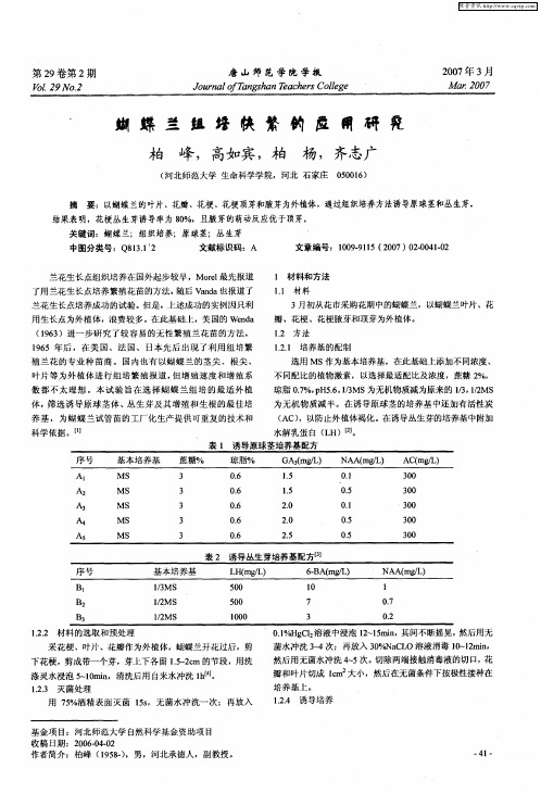 蝴蝶兰组培快繁的应用研究