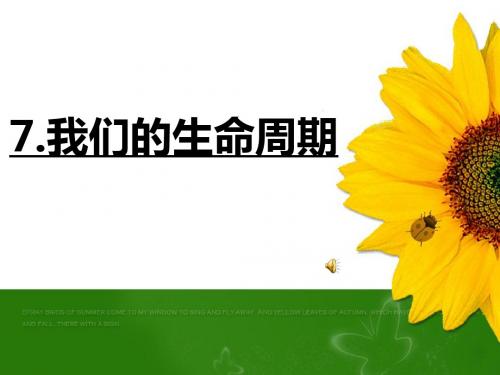 三年级下册科学《我们的生命周期》教学设计精品课件