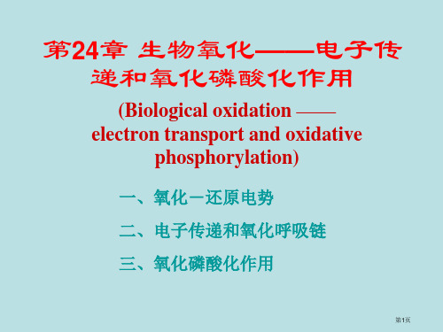 生物化学第24章生物氧化公开课获奖课件