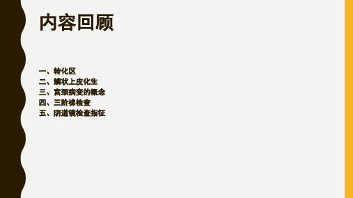 宫颈癌筛查文献汇报HPV与TCT共34页PPT资料